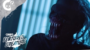 国产中文字幕乱人伦在线观看:15-16-24-32-35-48Q:33,国产中文字幕乱人伦在线观看,探索与反思 国产中文字幕乱人伦在线观看:15-16-24-32-35-48Q:33,国产中文字幕乱人伦在线观看,探索与反思