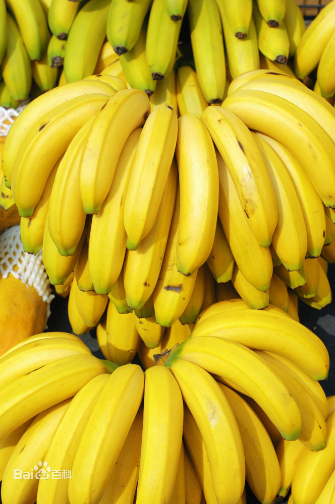 伊人久久大香线蕉综合av:07-10-11-21-43-46V：26,伊人久久大香线蕉的综合艺术，探索AV领域的独特魅力与多元文化