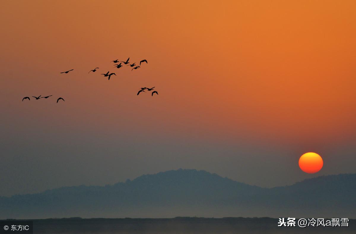 久久综合伊人中文字幕:07-21-30-39-46-47W：23,久久综合伊人中文字幕，探索美与艺术的交融