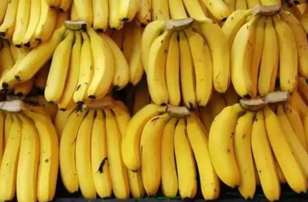 国产香蕉视频上线免费:12-13-15-19-22-23M：29,国产香蕉视频上线免费，探索数字时代的文化娱乐新风尚