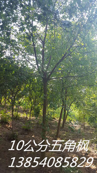 久久国产乱子伦免费精品:08-14-18-29-45-48Q:36,久久国产乱子伦精品探索,一场跨越时间与文化的独特之旅 久久国产乱子伦免费精品:08-14-18-29-45-48Q:36,久久国产乱子伦精品探索,一场跨越时间与文化的独特之旅