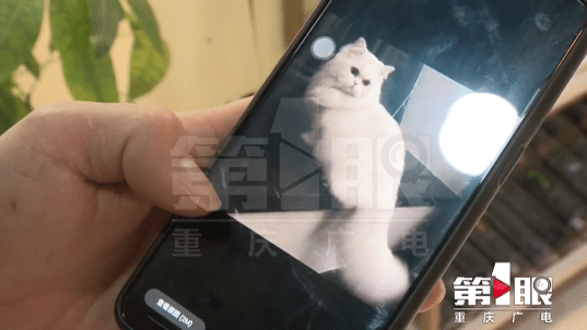 99r精品视频只有精品高清6:07-10-18-20-24-38Y：38,关于99r精品视频的深度探讨，精品高清的魅力与价值