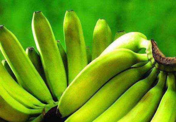 久久婷婷五月综合色国产香蕉:01-10-14-30-37-41M：49,久久婷婷与五月综合色国产香蕉，一场独特的探索之旅