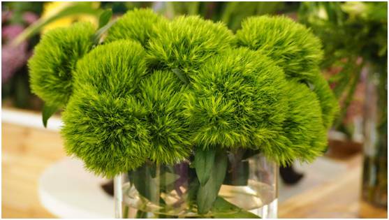 久久青草精品38国产:02-06-23-32-36-37D：20,久久青草精品，探索国产魅力与独特之处