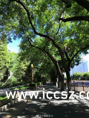 一本一道AV无码中文字幕麻豆:08-21-27-37-46-49L：43,一本一道AV无码中文字幕麻豆，探索数字时代的文化交融与娱乐新境界