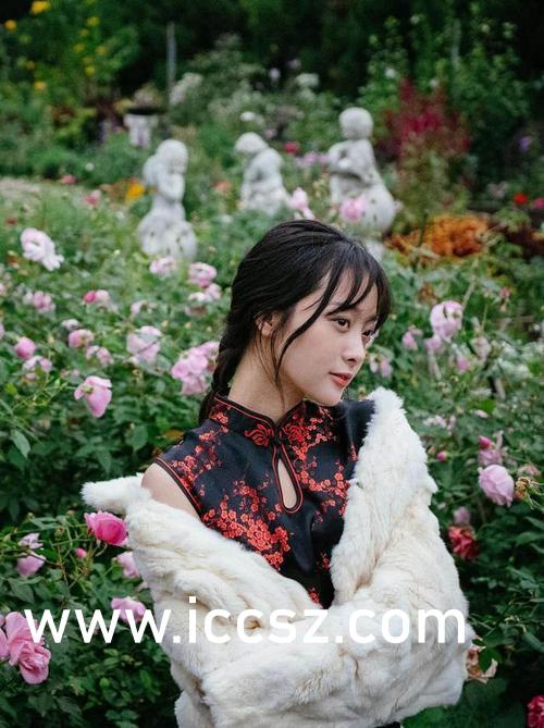 一本一道AV无码中文字幕麻豆:08-21-27-37-46-49L：43,一本一道AV无码中文字幕麻豆，探索数字时代的文化交融与娱乐新境界