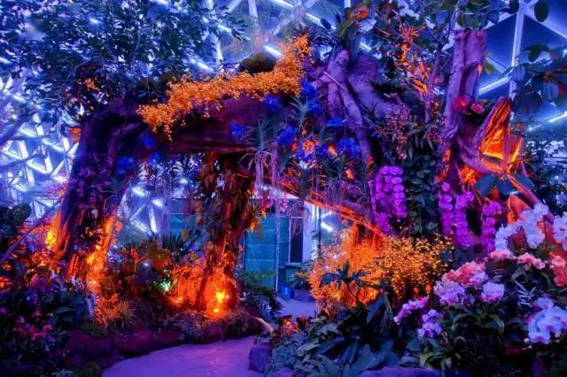 欧美午夜一区二区福利视频:01-12-20-25-34-43Z：48,欧美午夜一区二区福利视频，探索成人娱乐的新世界