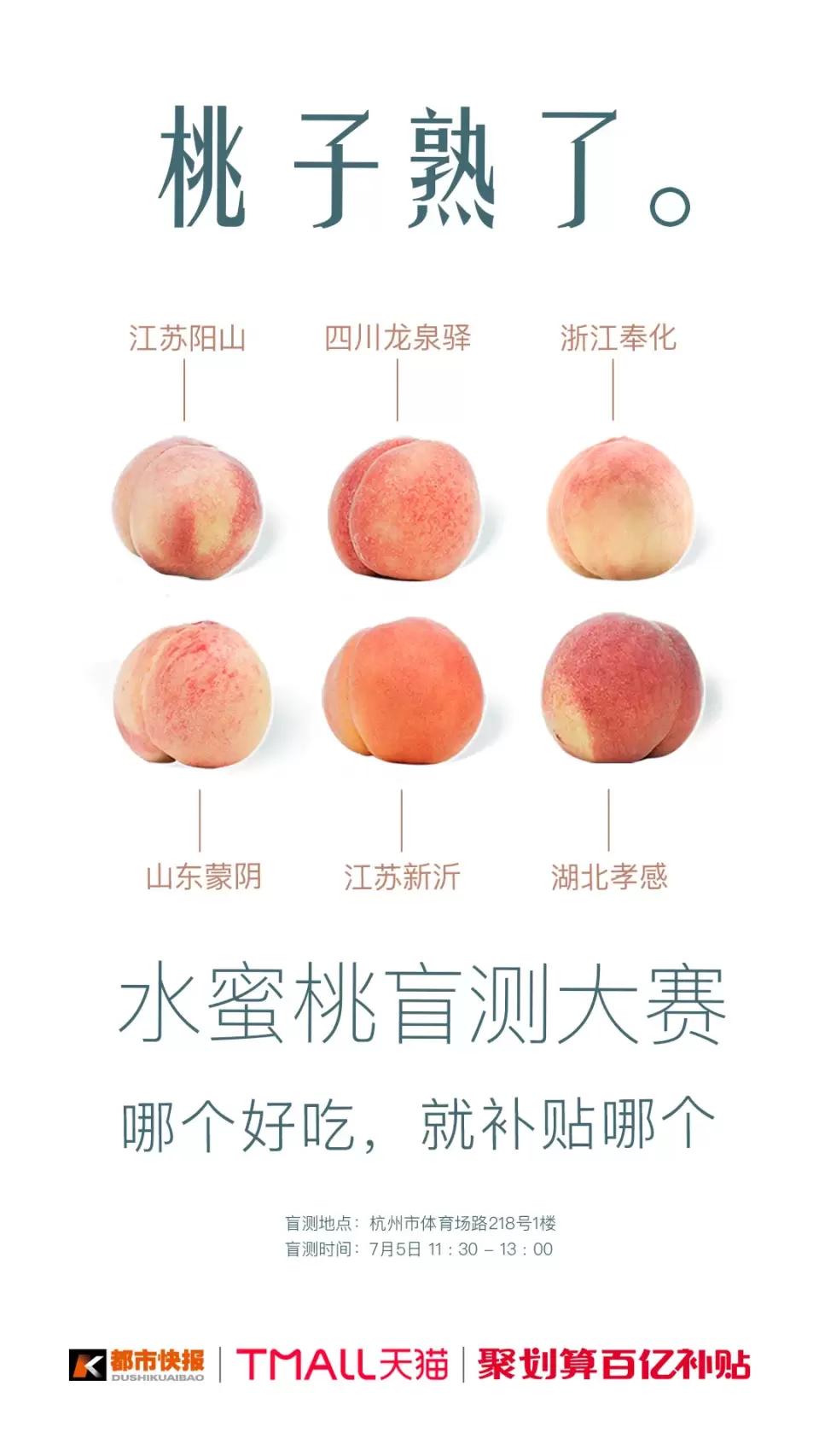 久久精品水蜜桃AV综合天堂:12-14-27-33-48-49Y：41,久久精品水蜜桃AV综合天堂，探索数字背后的视觉盛宴