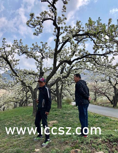 无遮无挡爽爽免费视频:02-12-14-19-22-34D：18,探索无遮无挡的世界，免费视频的崭新体验