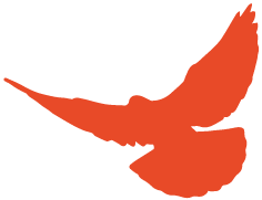 国产精品久线在线观看:02-05-15-20-32-37W：27,探索国产精品，久线在线观看的魅力时光