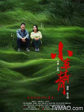 青春草在线视频观看:03-22-27-34-38-40A：06,青春草在线视频观看，探索与体验的独特旅程