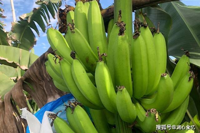 国产精品久久久天天影视香蕉:02-22-33-36-40-49M：10,国产精品影视与香蕉，探索中国影视产业的独特魅力与持续创新之路