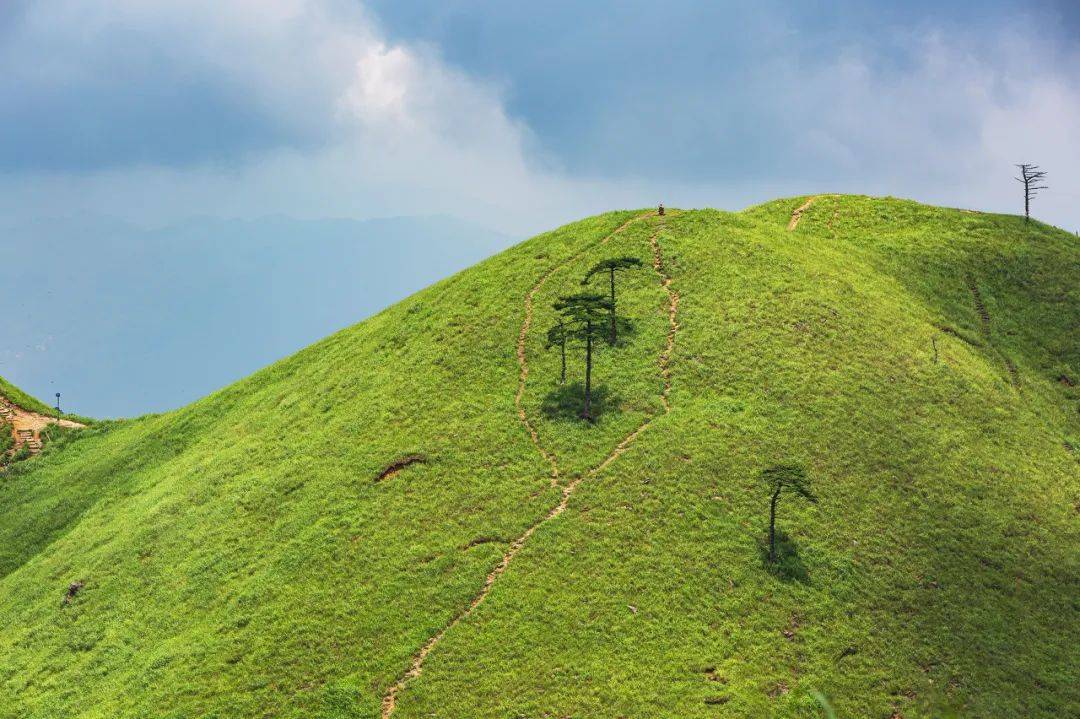 国产一区二区三区无码免费 :06-13-25-34-44-46F：35,探索国产影视区域，一区、二区、三区的无码免费内容