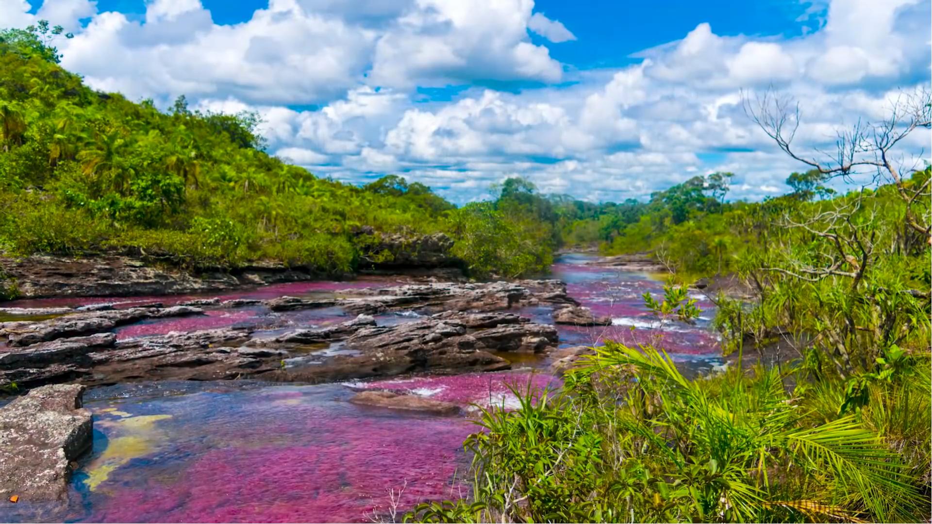 天堂在线www天堂:08-11-19-40-43-49B：36,天堂在线，探索虚拟世界的神秘之门