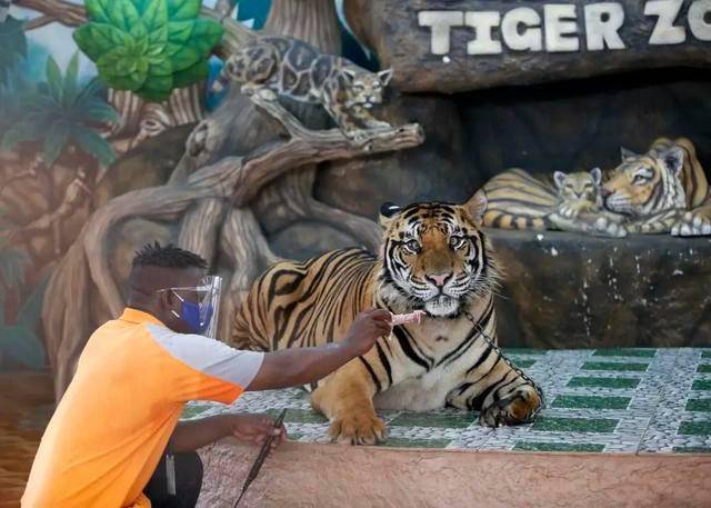 四虎永久在线精品免费一区二区:10-23-26-43-45-48F：19,探索四虎永久在线精品，免费一区的独特魅力与二区的无限可能