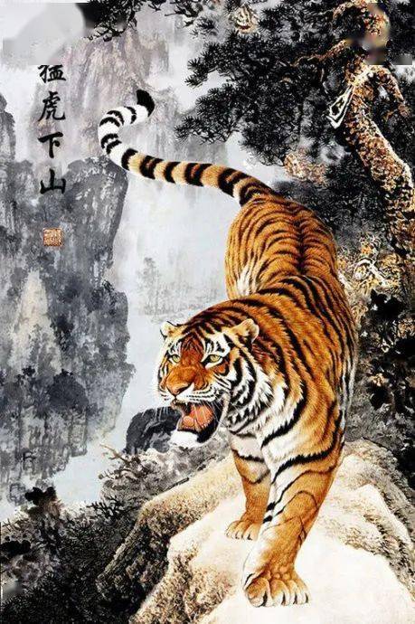 四虎永久在线精品免费一区二区:10-23-26-43-45-48F：19,探索四虎永久在线精品，免费一区的独特魅力与二区的无限可能