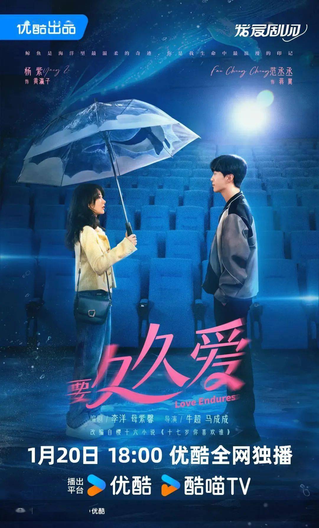 久久久久久国产精品MV:06-08-13-24-26-27Y：14,久久久久久国产精品MV，探索经典之作的时间印记与独特魅力