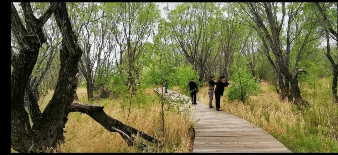 亚洲五月天综合:09-15-20-24-25-49T：10,亚洲五月天，一场跨越时空的音乐盛宴（综合，09-15-20-24-25-49T，10）