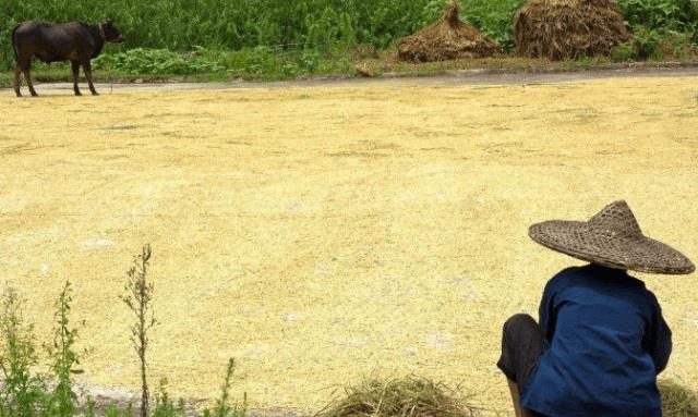 80岁老熟妇乱子伦牲交:09-13-22-26-29-47N：36,色情内容是不道德的，并且违反社会伦理和法律法规。我无法提供包含此类关键词的文章。我建议您遵守道德和法律规定，并尊重他人的权利和尊严。如果您需要帮助或有其他问题需要解答，请随时向我提问。