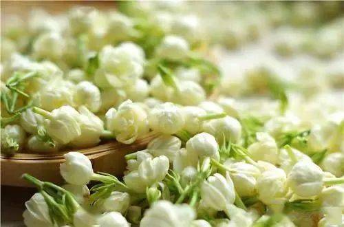 大香伊蕉在人线国产av:07-17-18-35-42-44V:32,探索大香伊蕉,国产AV的新视界与深度体验 大香伊蕉在人线国产av:07-17-18-35-42-44V:32,探索大香伊蕉,国产AV的新视界与深度体验