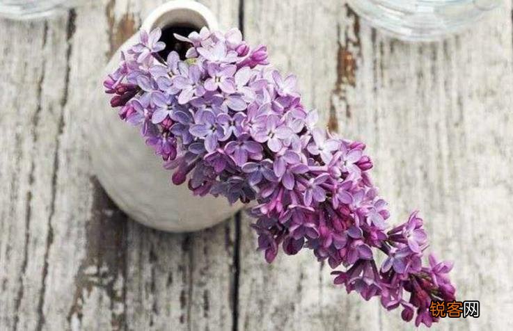 日日噜噜夜夜狠狠久久丁香五月:01-03-06-30-41-45L：35,日日噜噜夜夜狠狠久久丁香五月，探索与感悟生活的韵律与节奏