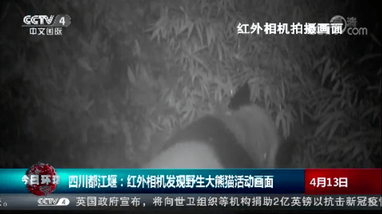 国产A级毛片久久久精品毛片:18-20-22-30-41-49T:42,国产A级毛片久久久精品毛片的探索与赏析 国产A级毛片久久久精品毛片:18-20-22-30-41-49T:42,国产A级毛片久久久精品毛片的探索与赏析