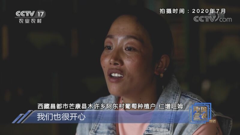 国产精品成人一区二区三区视频:04-09-15-19-35-49P：32,探索国产精品成人视频的魅力，一区二区三区视频深度解析