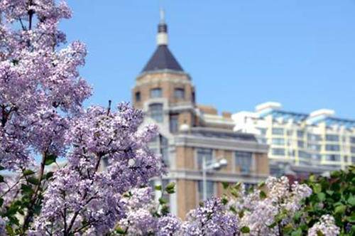 伊人久久五月丁香综合中文亚洲:11-13-36-40-42-46G：28,伊人久久五月丁香，亚洲综合之美与数字的魅力