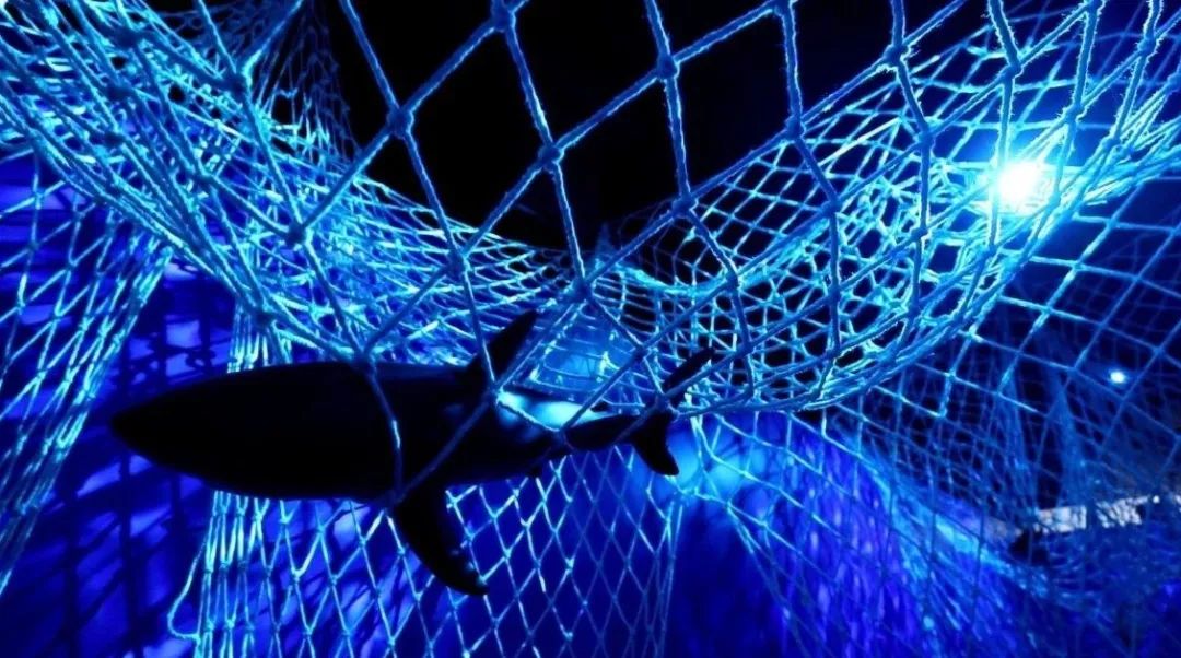 久久久久88色偷偷:06-11-32-37-42-43X:24,久久久久88色,探索多彩世界的神秘面纱 久久久久88色偷偷:06-11-32-37-42-43X:24,久久久久88色,探索多彩世界的神秘面纱