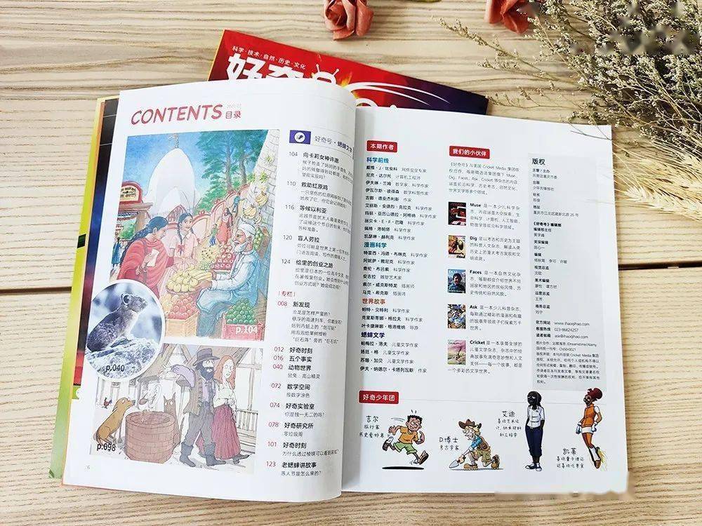 亚洲色素色无码专区:10-15-26-32-43-49E：12,探索亚洲色素色无码专区，深入了解其历史、文化与技术发展