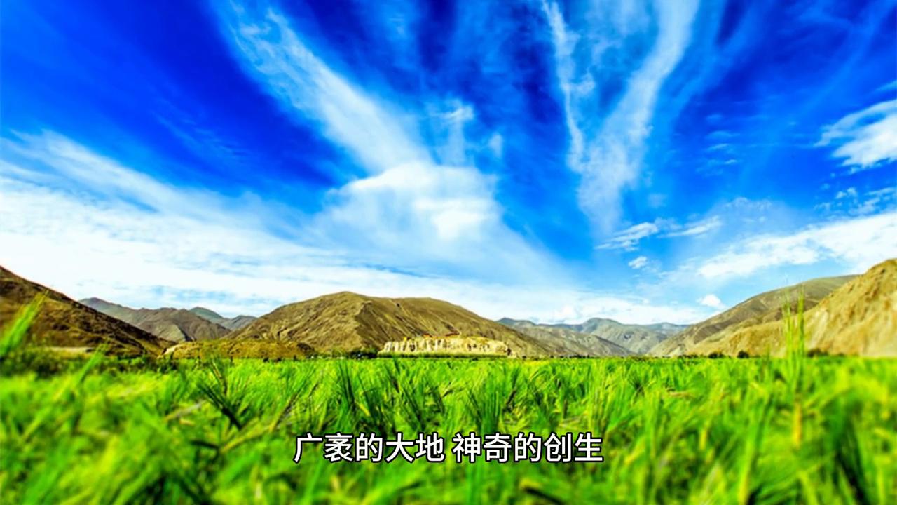 久久综合久久自在自线精品自:11-31-33-36-39-49P：14,久久综合，自在探索与精品呈现