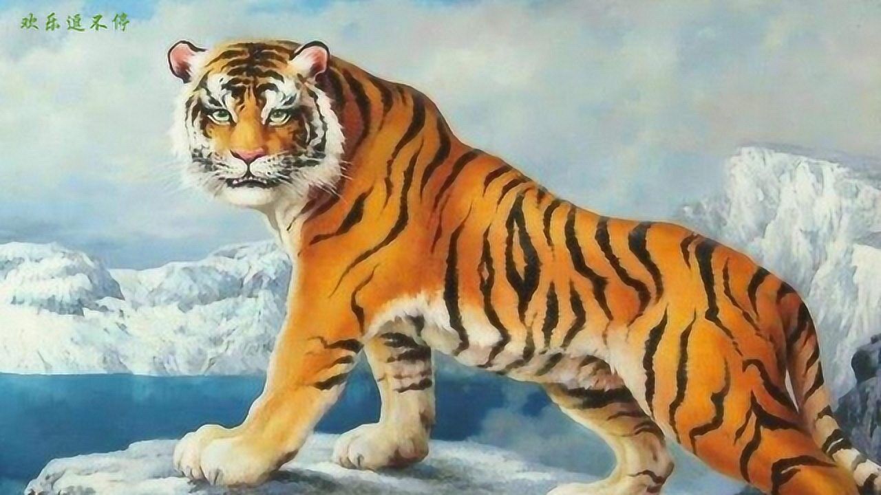 四虎成人欧美精品在永久在线:14-24-30-35-43-46D：47,四虎成人欧美精品在永久在线，探索成人娱乐的新世界