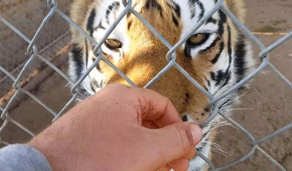 四虎永久在线精品免费视频观看:03-04-09-28-35-38R：42,关于四虎永久在线精品免费视频观看的探讨