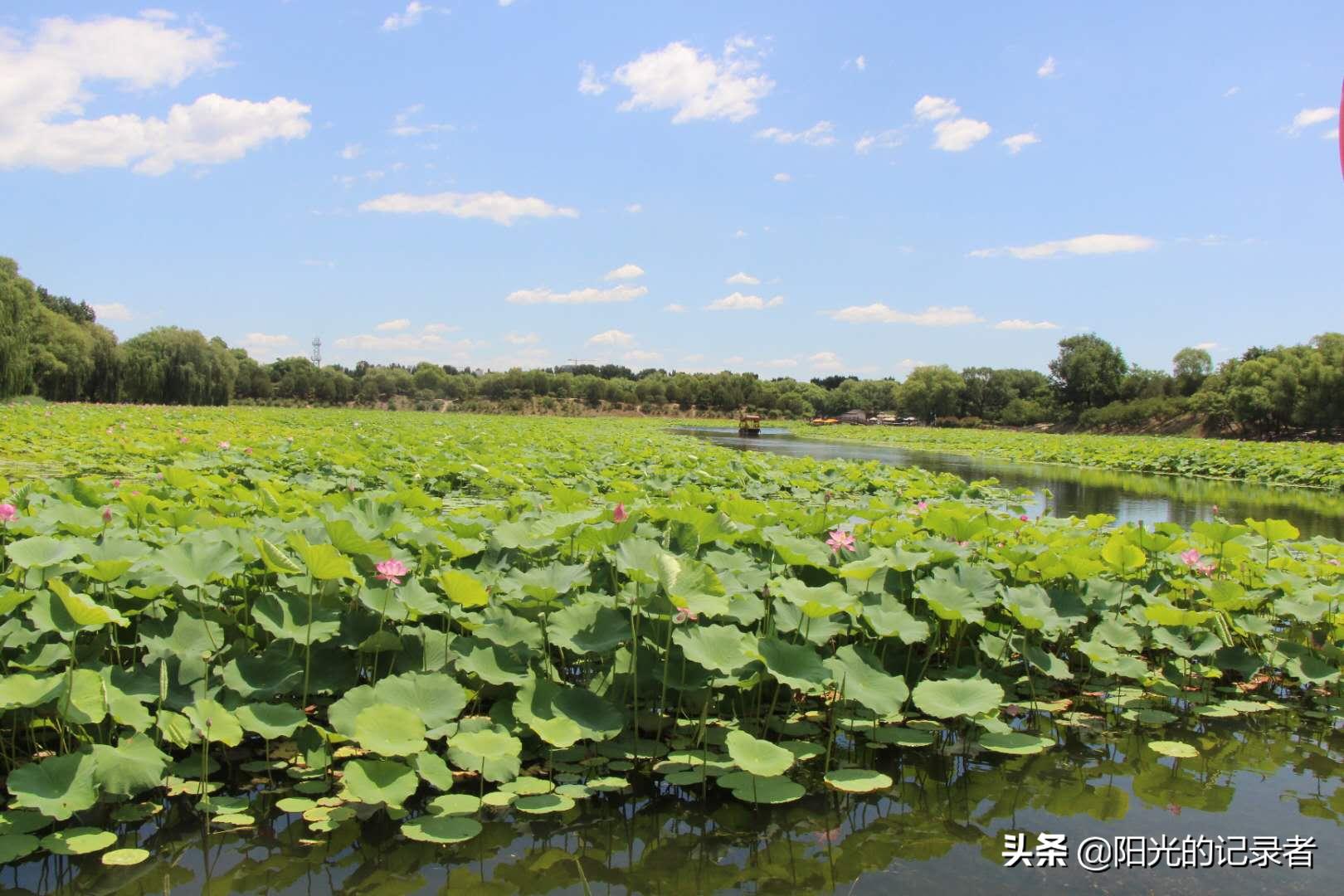 婷婷六月在线精品免费视频观看:05-10-25-33-43-45P：11,婷婷六月在线精品视频欣赏，探索免费观看的世界