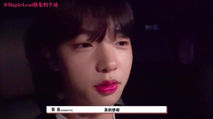 亚洲中文字幕无码中文字幕:04-12-16-22-24-36C：17,亚洲中文字幕的魅力，探索无码中文字幕的独特之处