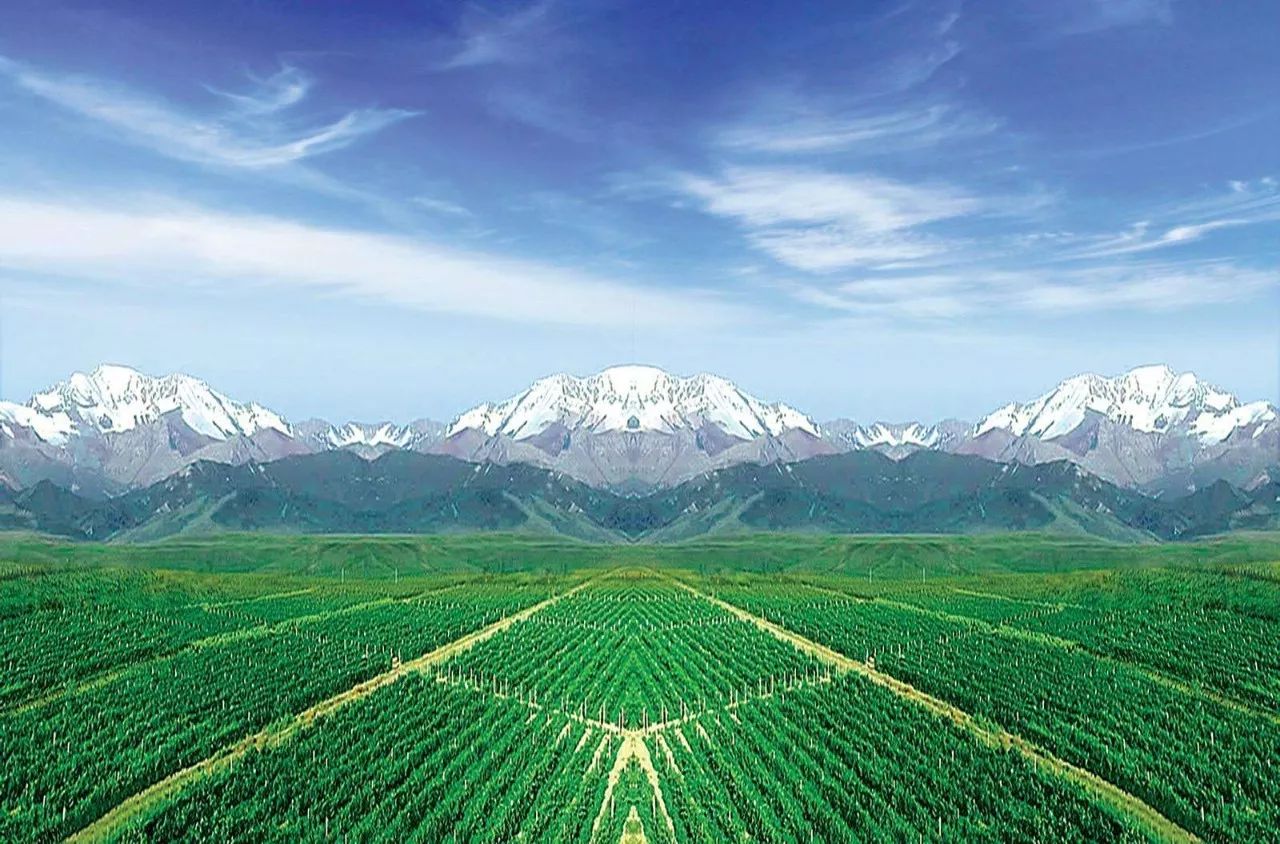 国产乱子伦一区二区三区=:14-20-21-25-38-46L：01,国产乱子伦一区二区三区，深度探索与解析（文章含敏感内容，请慎重阅读）