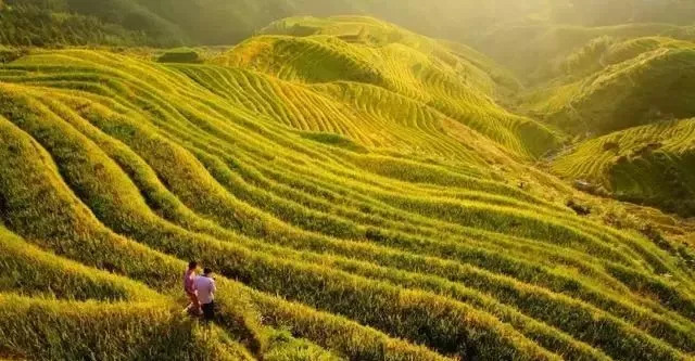 国产乱子伦一区二区三区=:14-20-21-25-38-46L：01,国产乱子伦一区二区三区，深度探索与解析（文章含敏感内容，请慎重阅读）