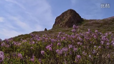 伊人狠狠色丁香婷婷综合动态图:01-04-10-11-32-38X：12,关于伊人狠狠色丁香婷婷综合动态图的探索