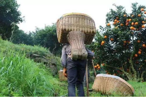 国产乱子伦视频湖北:06-08-13-24-26-27Y：14,国产乱子伦视频与湖北，一场文化与时间的交织