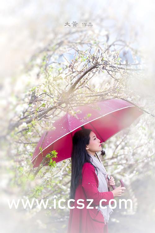 国产精品极品美女自在线观看免费:02-05-15-20-32-37W：27,国产精品美女在线观看，探索真实魅力的免费视觉盛宴