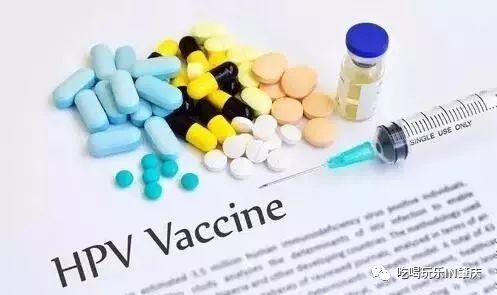 99国产欧美久久久精品蜜芽:10-13-24-25-29-45B：42,探索99国产欧美久久久精品蜜芽的独特魅力，深度解析与体验分享