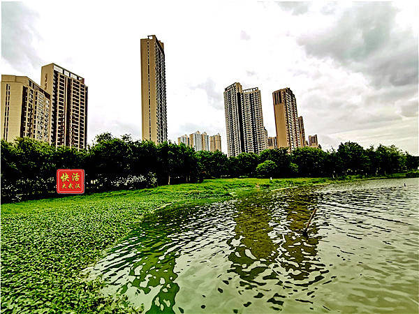 亚洲小说少妇区图片:14-34-36-39-44-49K：20,关于亚洲小说少妇区图片的一些探讨