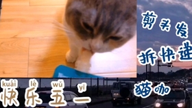 好大好硬好爽快点我要:14-17-20-27-45-46F：13,探索神秘数字序列背后的故事，关于一种超越言语的体验