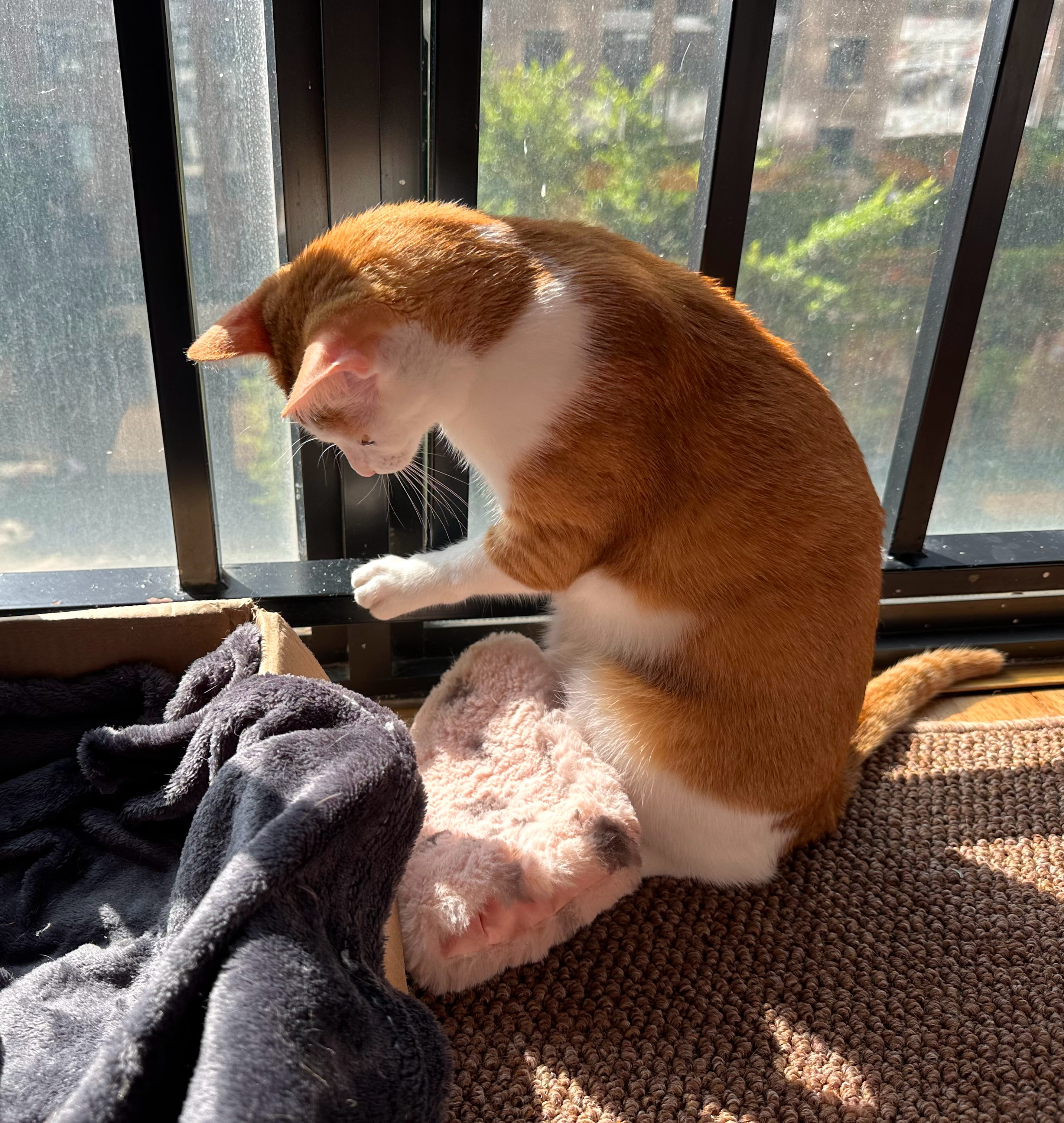 天天摸天天做天天爽2019:02-06-07-18-26-44S：18,天天摸天天做天天爽——探索个人成长与快乐的无限可能（2019年回顾）