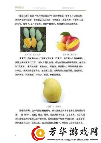 国内精品自线2021芒果:02-07-26-29-40-45Y：24,探索国内精品自线，以芒果为例，解读其独特魅力与未来发展（2021年02月07日至2月29日，以及未来展望）