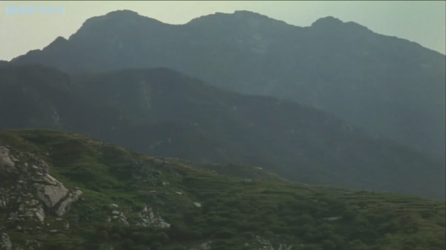 亚洲人成电影网站色:34-35-38-40-42-43Y：13,亚洲人在电影网站中的多元呈现，探索数字背后的故事