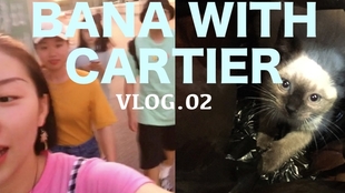 夜夜夜夜猛噜噜噜噜噜试看:04-20-25-29-35-42B：10,探索未知领域，夜夜夜夜的探索之旅与猛噜噜噜噜的奥秘