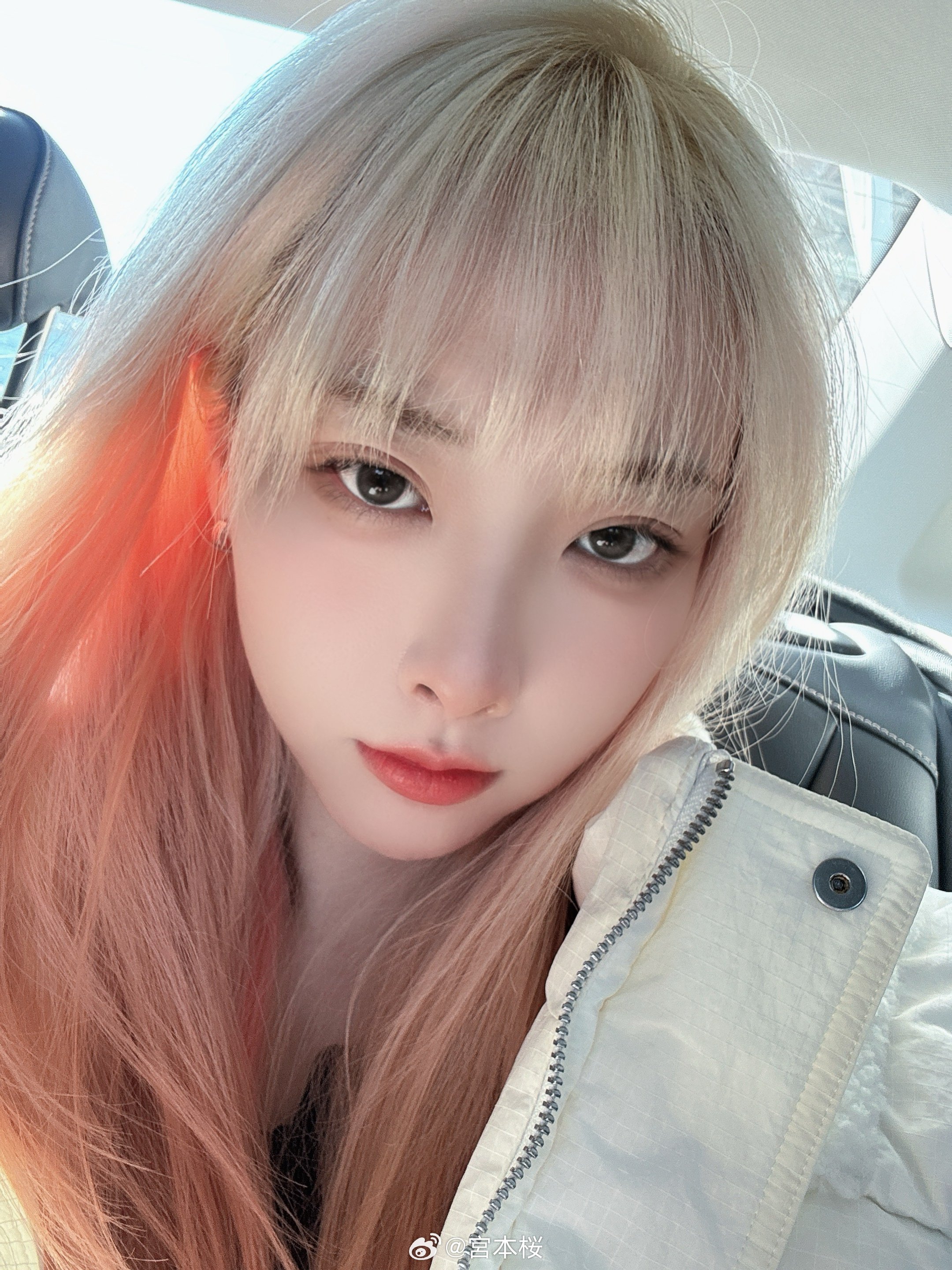 免费特级黄毛片:16-19-31-38-46-48Q：16,免费特级黄毛片，探索与警示