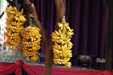 伊人久久大香线蕉亚洲五月天:03-16-18-36-37-40L:37,伊人久久与亚洲五月天,一场关于大香线蕉与数字的独特缘分 伊人久久大香线蕉亚洲五月天:03-16-18-36-37-40L:37,伊人久久与亚洲五月天,一场关于大香线蕉与数字的独特缘分