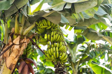 伊人久久大香线蕉亚洲五月天:03-16-18-36-37-40L:37,伊人久久与亚洲五月天,一场关于大香线蕉与数字的独特缘分 伊人久久大香线蕉亚洲五月天:03-16-18-36-37-40L:37,伊人久久与亚洲五月天,一场关于大香线蕉与数字的独特缘分